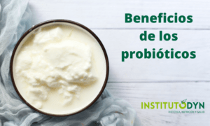 Conoce los beneficios de los probióticos naturales