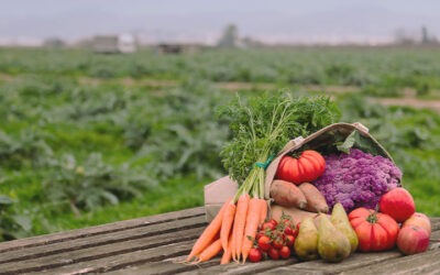 Buenas prácticas ambientales en la industria alimentaria