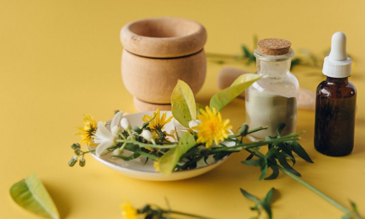 Estudiar homeopatía y aprender de sus beneficios