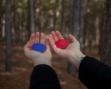 Maestría Internacional en Biomagnetismo